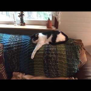 Meet your Posher, Cheryl